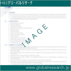 グローバルリサーチ調査レポートのイメージ